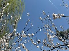 -迎泽公园