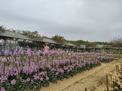 -盈香心动乐园