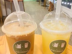 -有猫主题·治愈系猫咖(曾厝垵店)
