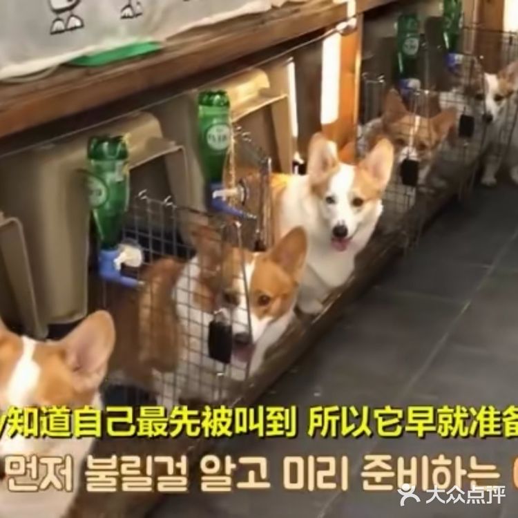 遵守秩序，排队、点名、发零食[胜利]