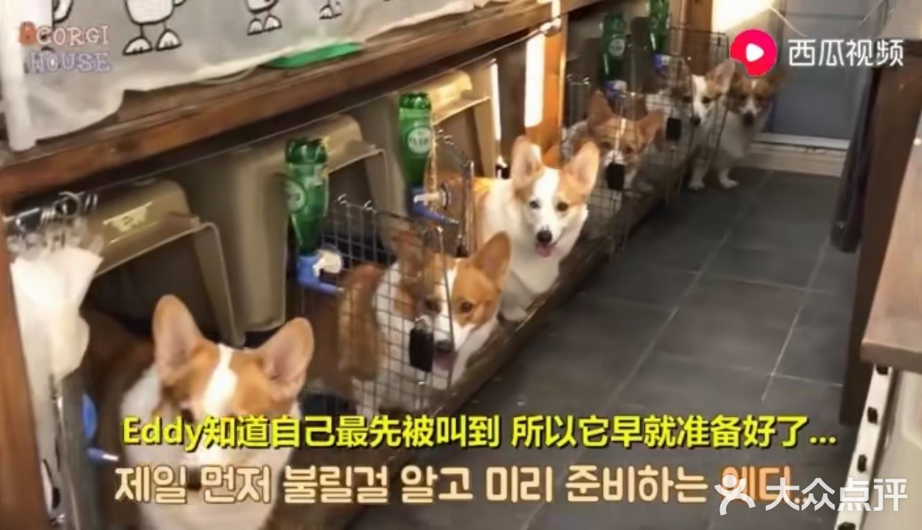 遵守秩序，排队、点名、发零食[胜利]