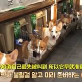 遵守秩序，排队、点名、发零食[胜利]