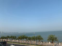 -野狸岛