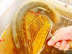 -金三可市井水煮鱼(金碧园店)