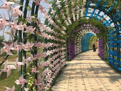 -杭州湾海上花田景区