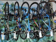 -GIANT捷安特自行车专卖店(金桥台儿庄路店)