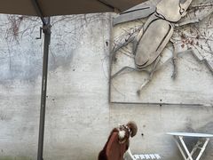 -徐家汇源景区-衡山坊