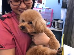 -严国平动物医院(德政总院)