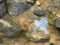 -罗田天堂寨风景区