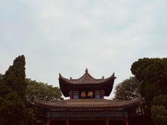 -西安碑林博物馆