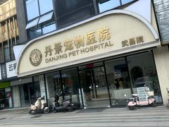 -丹景宠物医院·全科·老年病·牙科(武昌诊疗中心)