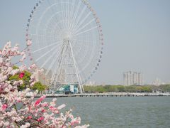 -无锡蠡湖国家湿地公园-蠡园