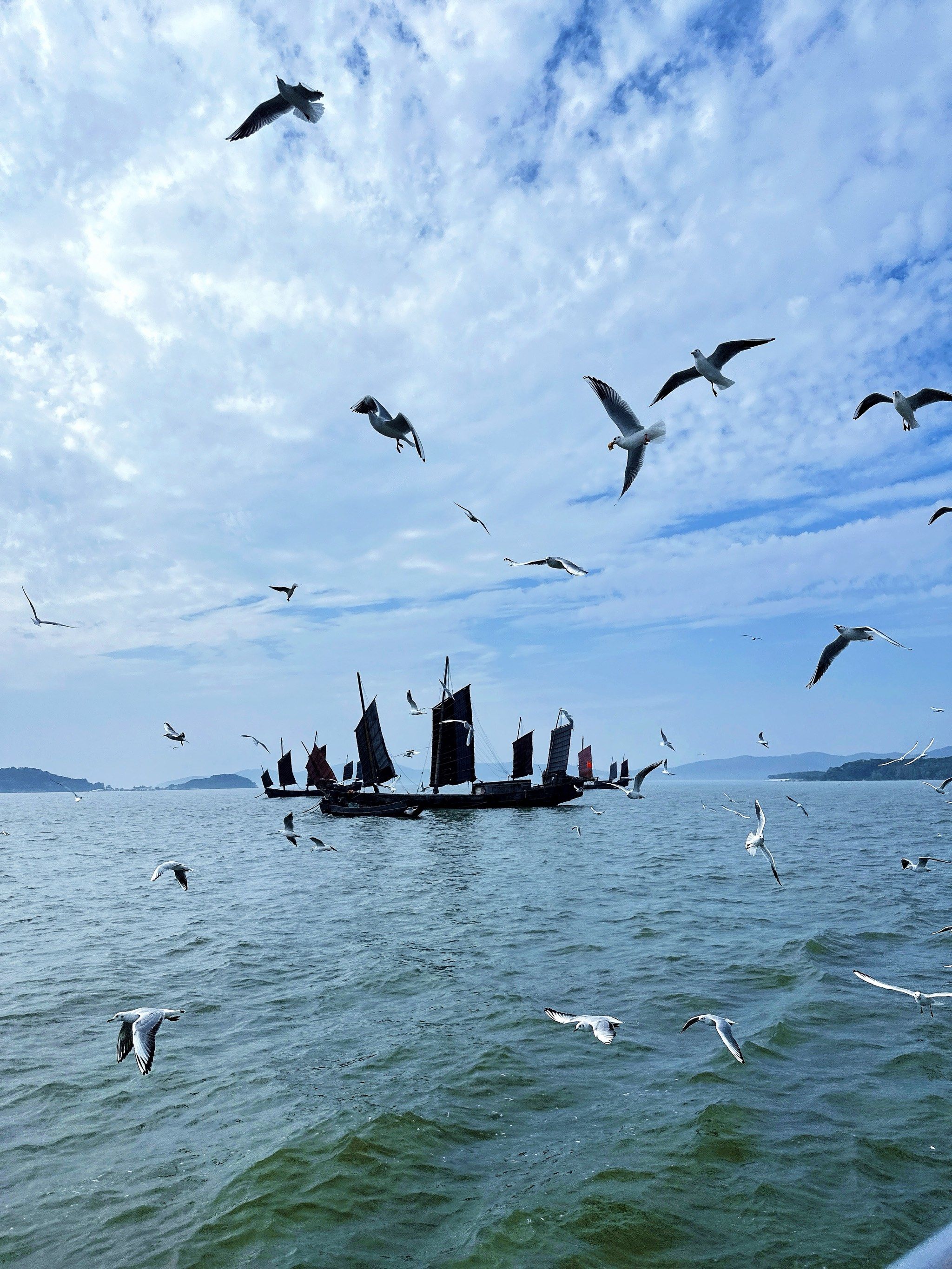 小船儿轻轻,海风轻轻吹