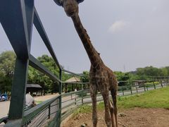-沈阳森林动物园