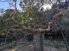 -草庵摩尼教遗址公园