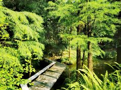 -广州兰圃