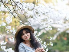 -南山植物园