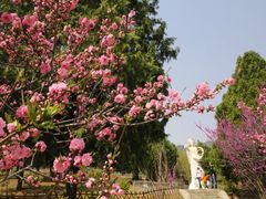 -北京西山国家森林公园