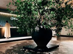 -隐溪茶馆(静安寺店)