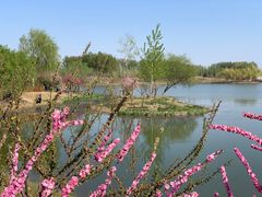 -东郊湿地公园