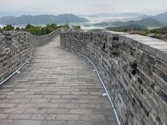 -黄贤森林公园