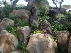 -罗红摄影艺术馆