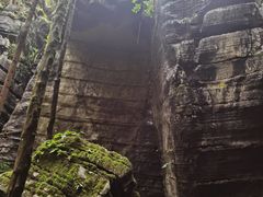 -梭布垭石林景区