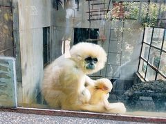 -昆明动物园