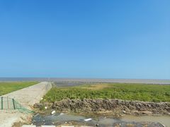 -南汇嘴观海公园