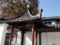 -三林塘老街