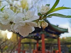 -月坛公园