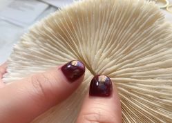 点击看大图 -Bodal美甲美睫皮肤管理工作室