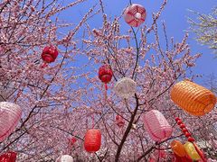-三里河公园