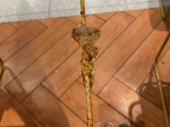-老胖串店(浆水泉路店)
