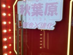 -天天玩X秋葉原日系动漫游戏中心