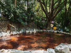 -湖泉半山温泉