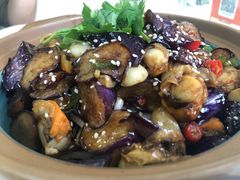-普天和酒楼·新津菜·烤鸭(天津之眼店)