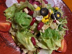 田园时蔬沙拉-布拉格餐厅· 中欧捷克菜(全国首店)