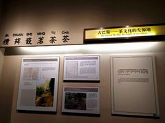 -中国茶叶博物馆(双峰馆区)