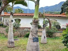 -深圳仙湖植物园