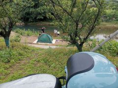 -北仑森林植物园