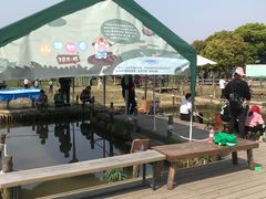 -田园东方蜜桃村的田野营地