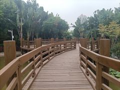 -深圳国际园林花卉博览园