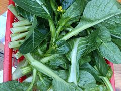 杂菜-大地农庄(逢沙大道店)