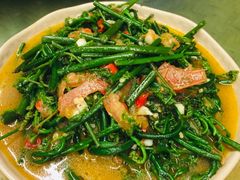 -多哥水傣味餐厅(司马巷店)
