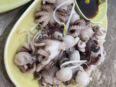 芥末八爪鱼-贞姨美食·老字号海鲜大排档