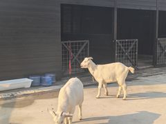 -天屿湖