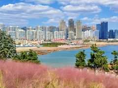 -小麦岛公园