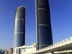 -演武大桥观景平台