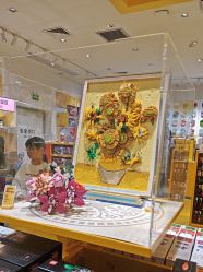 -乐高授权专卖店(岭南站NOVA店)